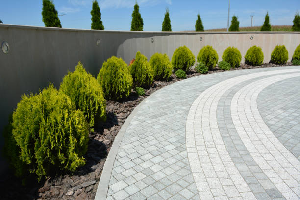 Best Professional Driveway Pavers  in Dunkirk, NY
